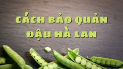  Các cách bảo quản đậu hà lan tươi và khô đơn giản và hiệu quả nhất 