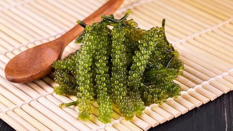 Cách bảo quản rong nho tươi, rong nho tách nước tại nhà được lâu đơn giản