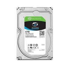 Ổ Cứng Chuyên Dụng Seagate Skyhawk 6tb - St6000vx001