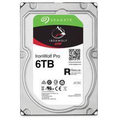 Ổ Cứng Hdd Seagate Ironwolf Pro 6000gb St6000ne000 