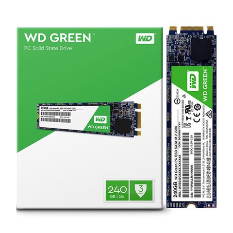 Ổ Cứng Ssd Western Green M.2 240gb