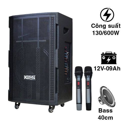 Loa Acnos CB393G