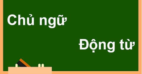 25 nguyên tắc về sự hòa hợp giữa chủ ngữ và động từ đầy đủ, chi tiết