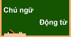  25 nguyên tắc về sự hòa hợp giữa chủ ngữ và động từ đầy đủ, chi tiết 