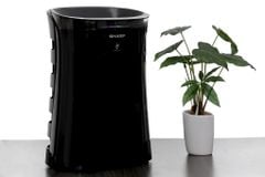  Máy lọc không khí Sharp FP-GM50E-B 