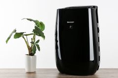  Máy lọc không khí Sharp FP-JM40V-B 