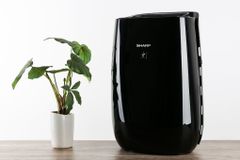  Máy lọc không khí Sharp FP-JM40V-B 