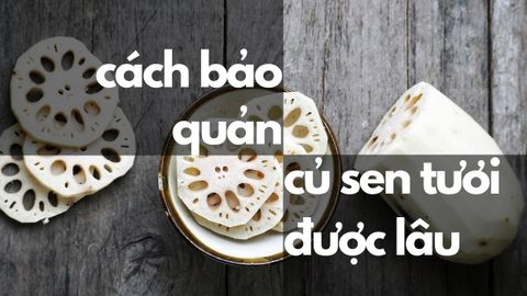 Bật mí 5 cách bảo quản củ sen tươi được lâu, dùng được quanh năm
