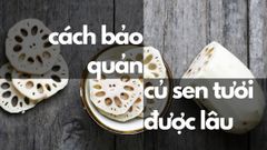  Bật mí 5 cách bảo quản củ sen tươi được lâu, dùng được quanh năm 