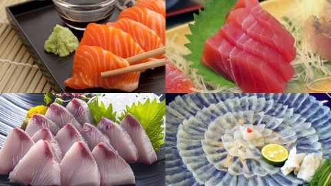 Khám phá các loại cá ăn sashimi được ưu chuộng và phổ biến nhất
