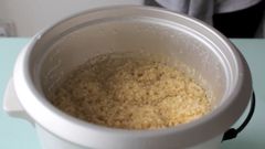  2 cách nấu Quinoa (diêm mạch) bằng nồi cơm điện tiện lợi tốt cho sức khỏe 