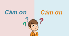  Cám ơn hay cảm ơn, từ nào mới là đúng chính tả? Câu trả lời chuẩn nhất 