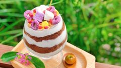 Cách làm sữa chua mix hoa quả vừa thơm ngon vừa bổ dưỡng cực dễ làm 