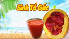  Cách làm sinh tố gấc đỏ thơm ngon bổ dưỡng cực đơn giản 