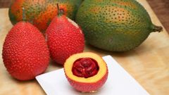  Các cách bảo quản gấc chín dùng được lâu đơn giản và hiệu quả nhất 