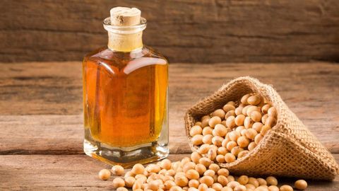Dầu đậu nành có tốt không? Tác dụng, cách chọn mua và giá dầu đậu nành