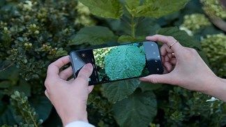 Mời bạn xem những bức ảnh được chụp từ Oneplus Nord: Máy tầm trung nhưng chất ảnh có tốt?