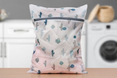 Túi giặt lưới một lớp 39*49cm Delites RD102-1 xương rồng