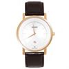 Đồng hồ Nam Orient FGW01008W0