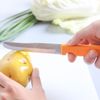 Dao gọt inox Eagle 350