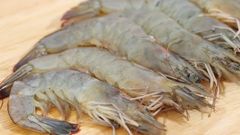  Tôm lớt là tôm gì? Tôm lớt sống ở đâu, bao nhiêu tiền 1kg, làm món gì ngon? 