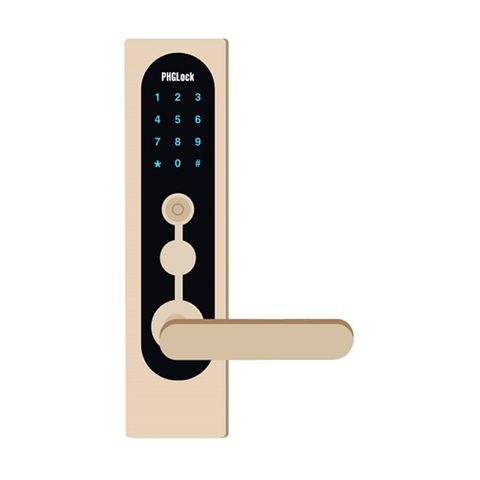 Khóa cửa điện tử PHGLock KR8136