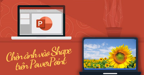 [Video] Cách chèn hình vào Shape trong PowerPoint cho mọi hình dáng