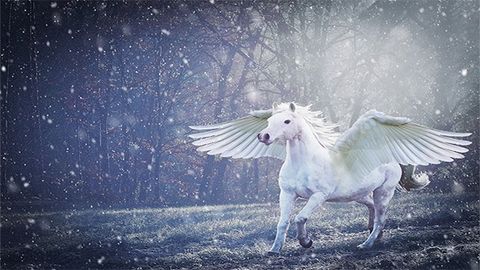 Layer Mask là gì? Cách sử dụng Layer Mask trong Photoshop vô cùng đơn giản