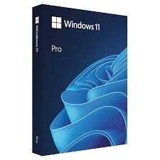 Phần Mềm Microsoft Win 11 Pro Fpp 64 Bit Eng Intl Usb