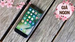  Dưới 7 triệu không thể bỏ qua 2 mẫu iPhone cũ đang giảm giá này, ưu đãi đầu năm ngon lành không sắm hơi phí đấy bạn ơi 