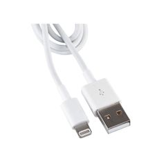 Sạc Adapter iPhone 6 Plus