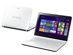  Sony Vaio Svf1421Bsgw 