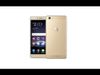 Q-Mobile King Kong Max