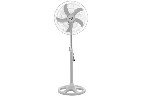 Quạt đứng Asia D18004-XV1 Xám
