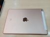 iPad 8 Wifi Cellular 128GB Gold (MYMN2ZA/A)