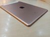 iPad 8 Wifi Cellular 128GB Gold (MYMN2ZA/A)