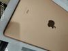 iPad 8 Wifi Cellular 128GB Gold (MYMN2ZA/A)