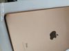 iPad 8 Wifi Cellular 128GB Gold (MYMN2ZA/A)