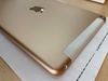 iPad 8 Wifi Cellular 128GB Gold (MYMN2ZA/A)