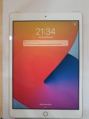  iPad 8 Wifi Cellular 128GB Gold (MYMN2ZA/A) 