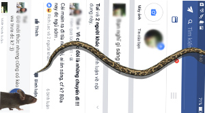 Rắn bò trên khắp màn hình khi đang dùng Facebook?