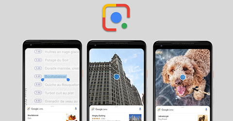 Cách tìm kiếm bằng hình ảnh trên điện thoại Android, iPhone nhanh nhất