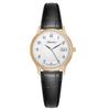 Đồng hồ Nữ Daniel Wellington DW00100179