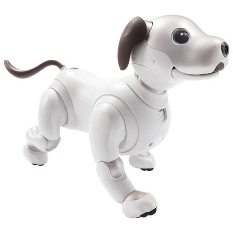 Robot Sony aibo Companion ERS1000