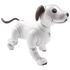  Robot Sony aibo Companion ERS1000 
