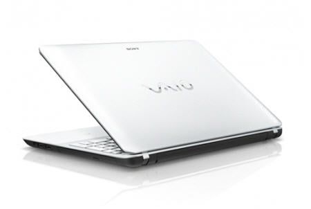 Sony Vaio Fit 15E (Svf-1521Msf)