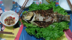  Cách nướng cá bằng lò vi sóng Sharp vừa tiện lợi lại thơm ngon khó cưỡng 