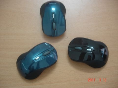 Chuột Dây  Bh :06 T