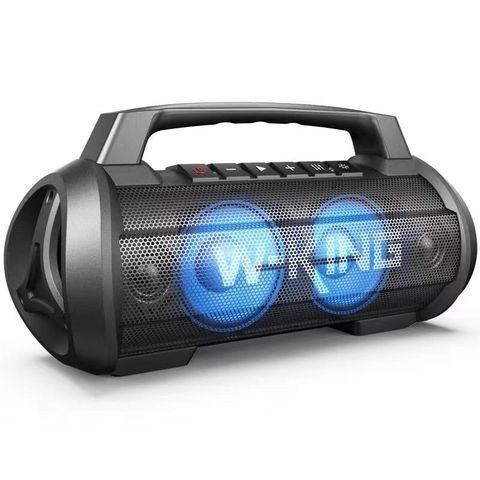 Loa Bluetooth W-King D10 (70W, Pin 13200 mAh)