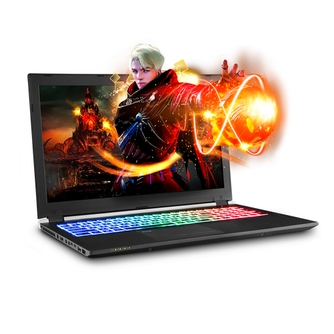 Sager Np8954